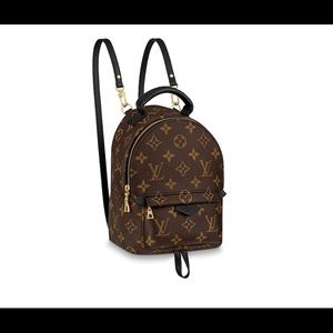 Palm Springs Louis Vuitton backpack